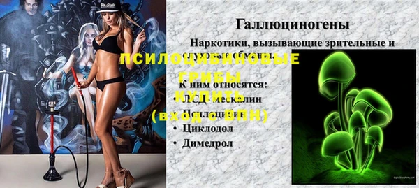 мяу мяу мука Горняк