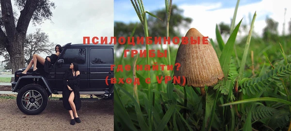 мяу мяу мука Горняк